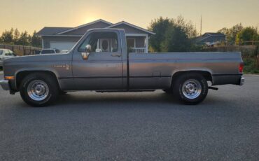 Chevrolet-c20-1986-grey-5