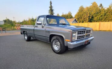 Chevrolet-c20-1986-grey-6