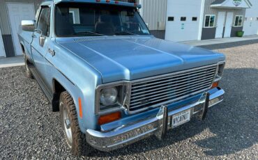 Chevrolet-c20-2wd-1973-blue