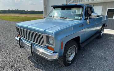 Chevrolet-c20-2wd-1973-blue-5