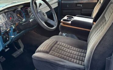 Chevrolet-c20-2wd-1973-blue-6