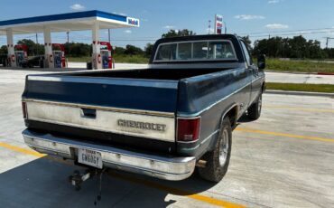 Chevrolet-c20-silverado-1977-blue-2