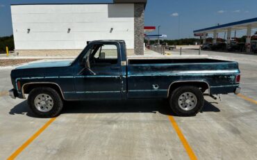 Chevrolet-c20-silverado-1977-blue-4