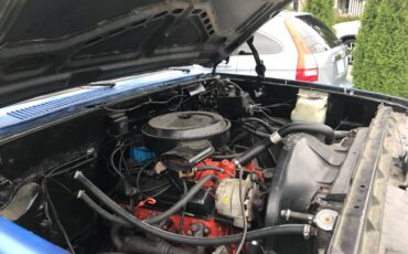 Chevrolet-c30-1986-blue-7