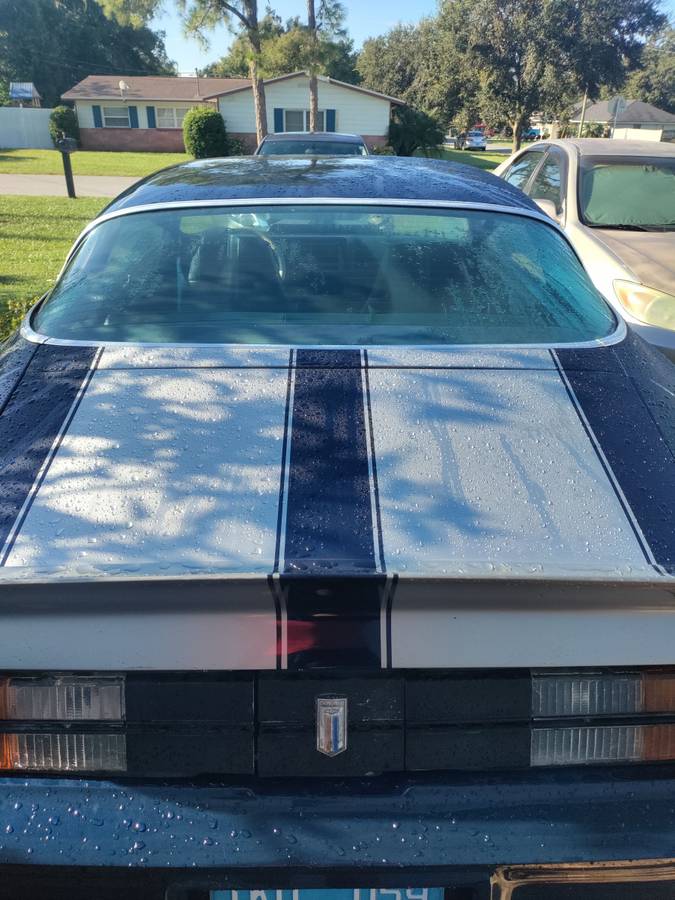 Chevrolet-camaro-1980-blue-3