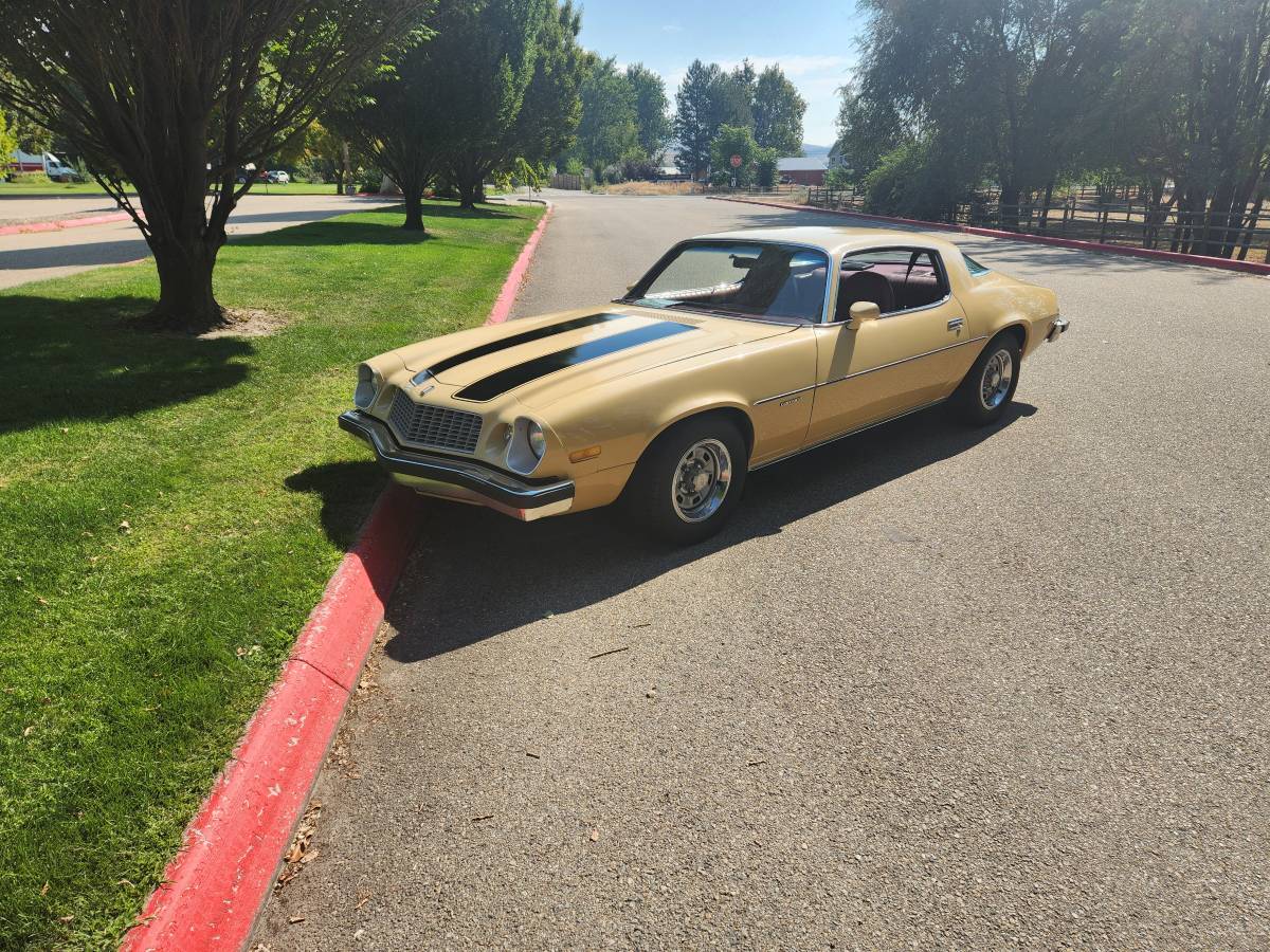 Chevrolet-camaro-ls-1977-2