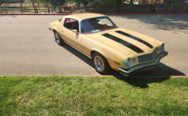 Chevrolet-camaro-ls-1977-3