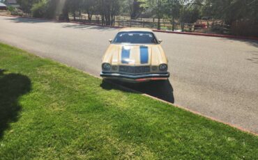 Chevrolet-camaro-ls-1977