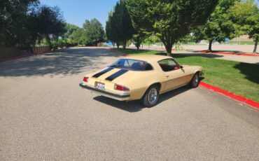Chevrolet-camaro-ls-1977-4