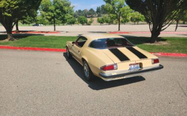 Chevrolet-camaro-ls-1977-5