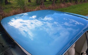 Chevrolet-camaro-ss-1969-blue-11