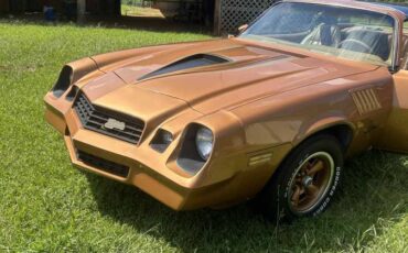 Chevrolet-camaro-z28-1978-brown-1