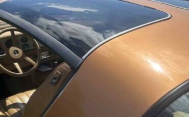 Chevrolet-camaro-z28-1978-brown-10