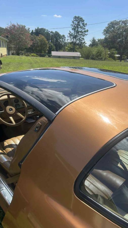 Chevrolet-camaro-z28-1978-brown-10