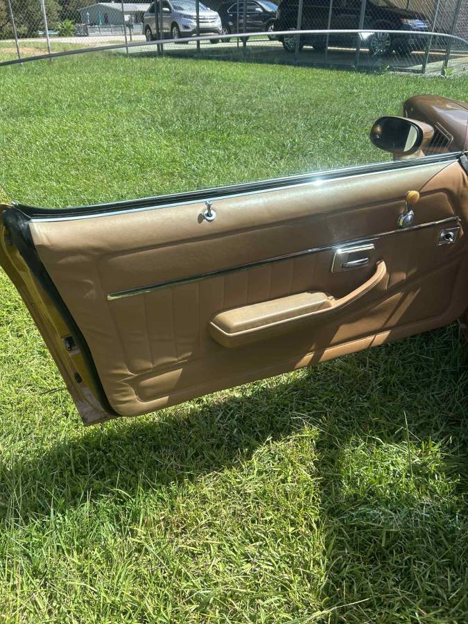 Chevrolet-camaro-z28-1978-brown-2