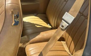 Chevrolet-camaro-z28-1978-brown-3