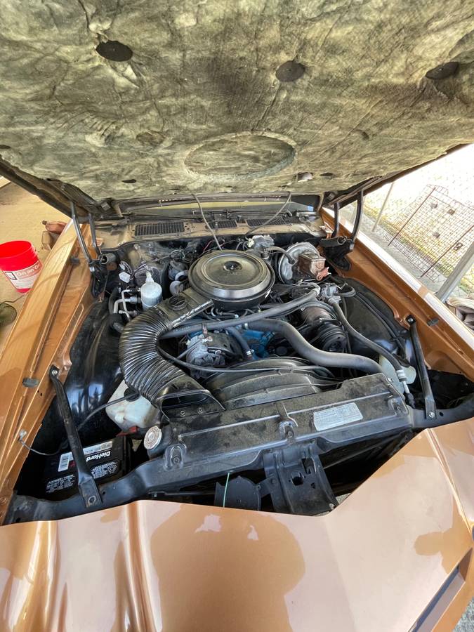 Chevrolet-camaro-z28-1978-brown-7