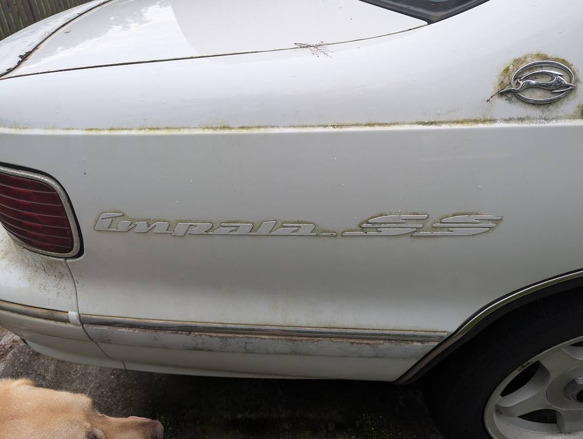 Chevrolet-caprice-classic-amp-classic-wagon-1994-white-2