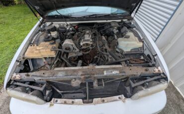 Chevrolet-caprice-classic-amp-classic-wagon-1994-white-5