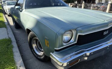 Chevrolet-chavelle-malibu-6-s3-5.7l-8cyl-gas-1973-6