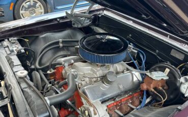 Chevrolet-chevelle-1967-2
