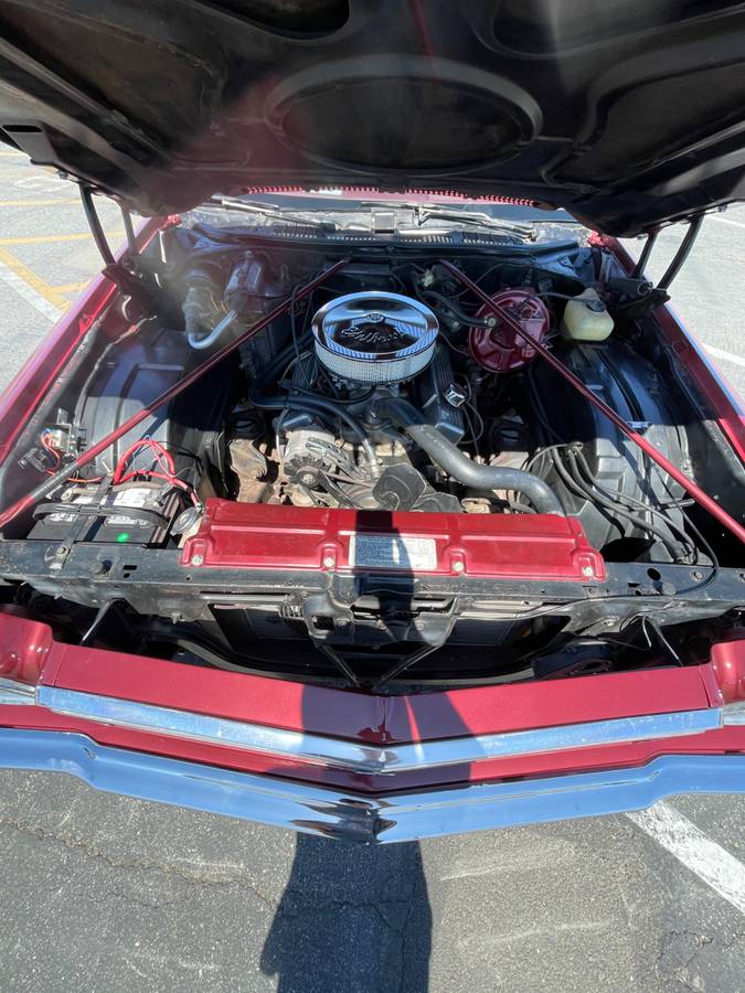 Chevrolet-chevelle-1973-9