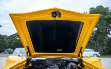 Chevrolet-chevelle-ss-1969-yellow-11