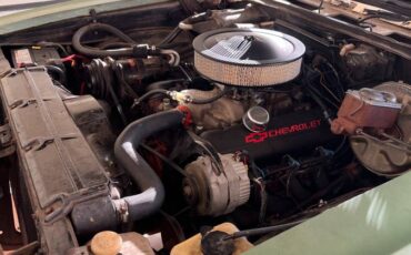 Chevrolet-chevelle-ss396-1968-green-4