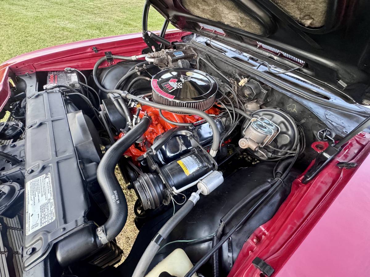 Chevrolet-chevelle-super-sport-396-1969-red-15