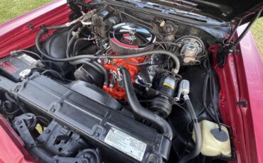 Chevrolet-chevelle-super-sport-396-1969-red-36