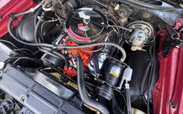Chevrolet-chevelle-super-sport-396-1969-red-39