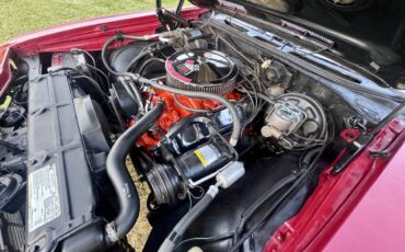 Chevrolet-chevelle-super-sport-396-low-mileage-1969-red-10