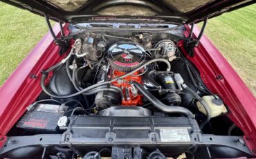 Chevrolet-chevelle-super-sport-396-low-mileage-1969-red-11