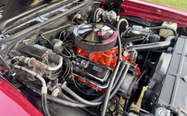 Chevrolet-chevelle-super-sport-396-low-mileage-1969-red-8