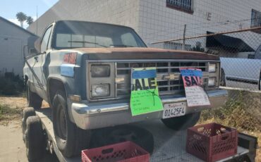 Chevrolet-chevy-silverado-2500-1981-blue-18
