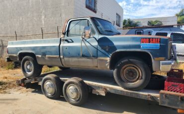 Chevrolet-chevy-silverado-2500-1981-blue-25