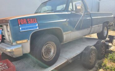 Chevrolet-chevy-silverado-2500-1981-blue-5
