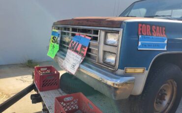 Chevrolet-chevy-silverado-2500-1981-blue-7