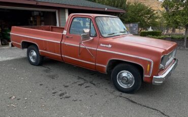 Chevrolet-cheyenne-1974-1