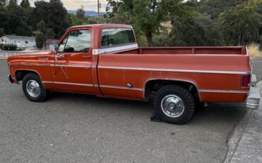 Chevrolet-cheyenne-1974-2