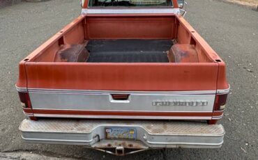 Chevrolet-cheyenne-1974-3