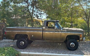 Chevrolet-cheyenne-1975-10
