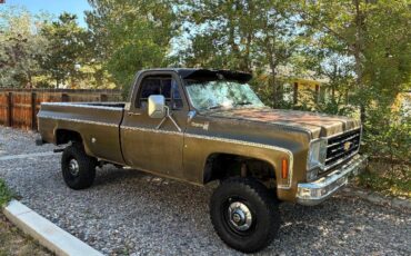 Chevrolet-cheyenne-1975-11