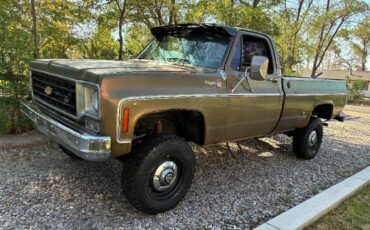Chevrolet-cheyenne-1975-12