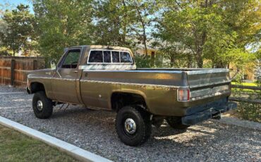 Chevrolet-cheyenne-1975-15
