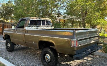 Chevrolet-cheyenne-1975-3