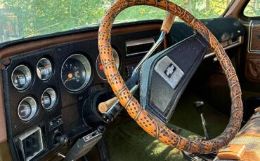 Chevrolet-cheyenne-1975-7