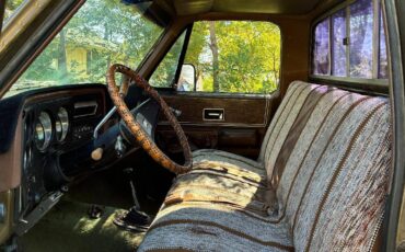 Chevrolet-cheyenne-1975-8