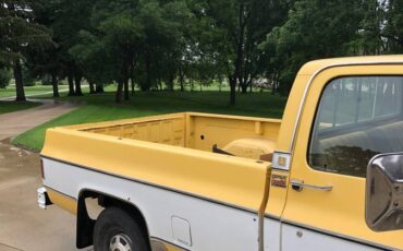 Chevrolet-cheyenne-1979-yellow-2