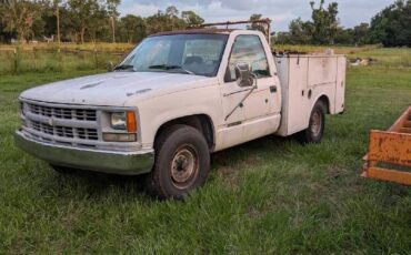 Chevrolet-cheyenne-1994-1